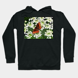 Orange Butterfly on white Lace Flowers Hoodie